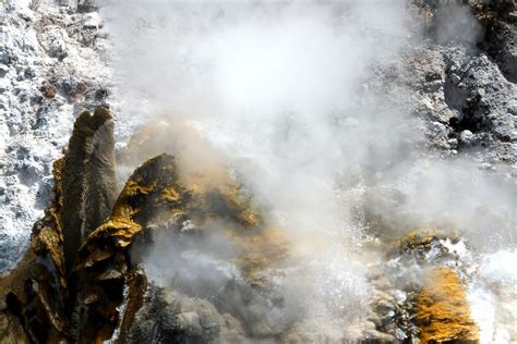 Discover the Healing Powers of Steaming Springs: A Magical Presentation